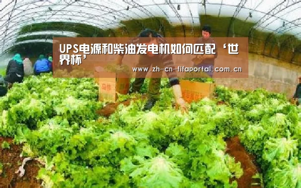 UPS电源和柴油发电机如何匹配‘世界杯’(图3) 世界杯