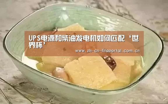 UPS电源和柴油发电机如何匹配‘世界杯’(图4) 赛事新闻