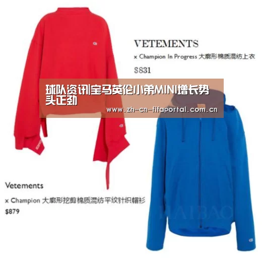 球队资讯|宝马英伦小弟MINI增长势头正劲(图3) 球队资讯