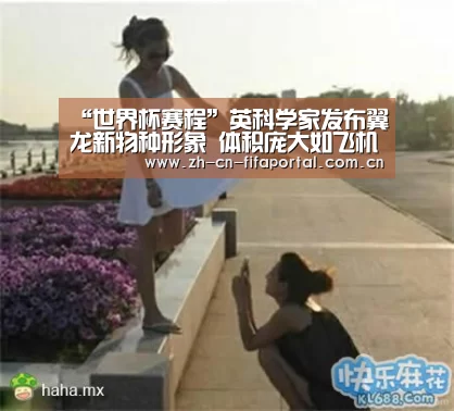 “世界杯赛程”英科学家发布翼龙新物种形象 体积庞大如飞机(图2) 世界杯赛程