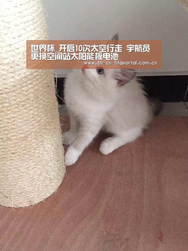 赛事新闻