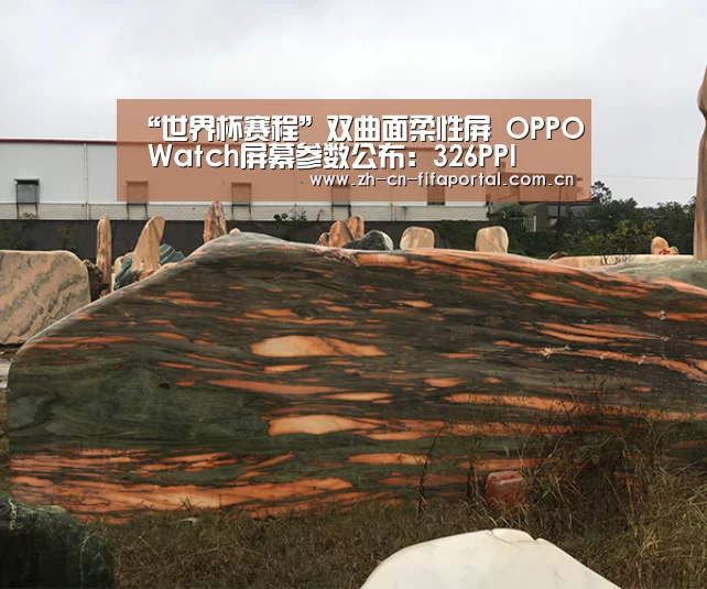 “世界杯赛程”双曲面柔性屏 OPPO Watch屏幕参数公布:326PPI