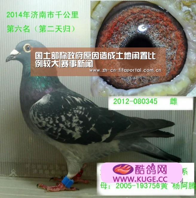 球队资讯